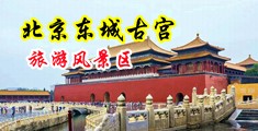 啊啊啊啊轻点好爽啊快点插进来视频中国北京-东城古宫旅游风景区